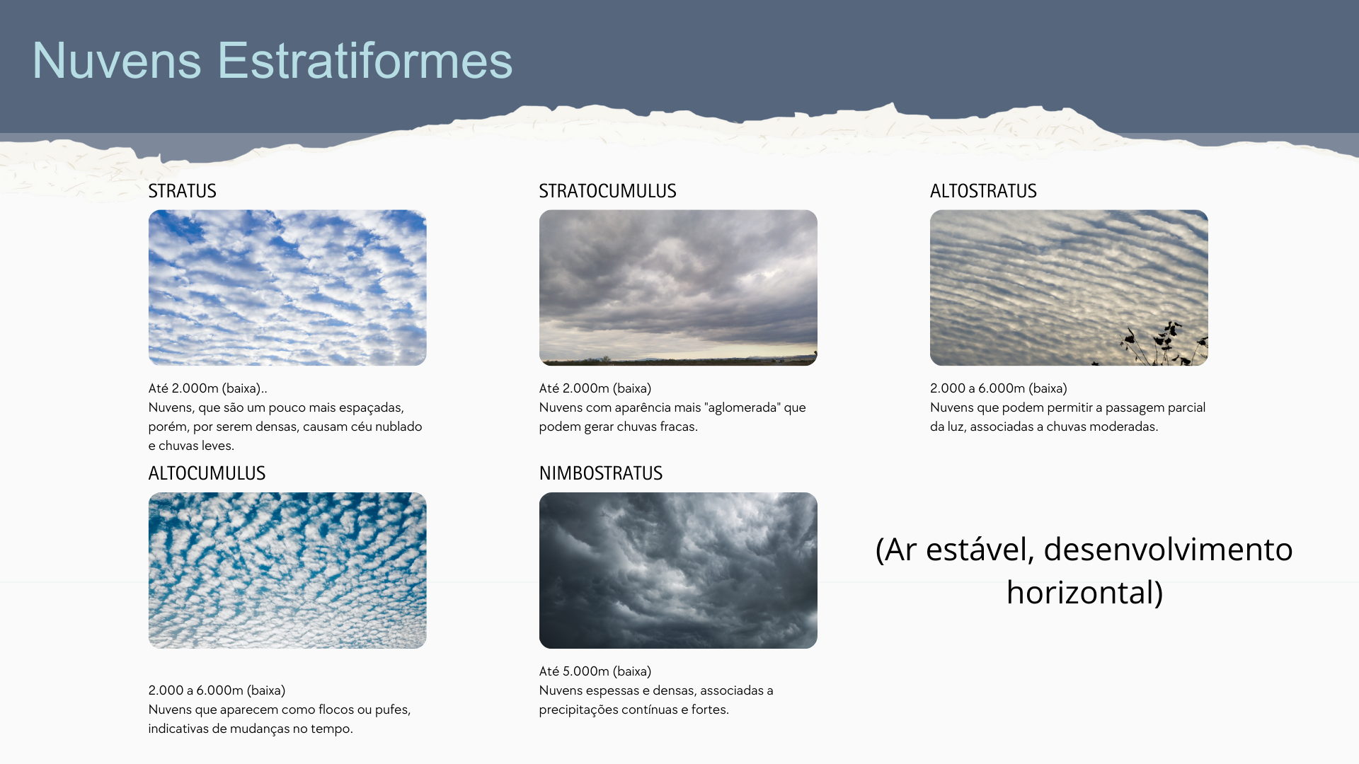 estratiformes